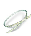 Tira LED SMD 3528 120 LED 4500K° IP65 Bobina