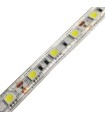 Tira LED SMD 5050 60 LED 6000K° IP65 Bobina
