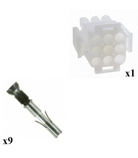 RBKCMNLMPF3X3V