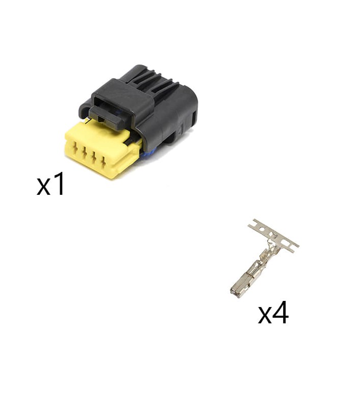 RBKCMSPF4VNR