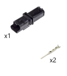 RBKCMSPM2V