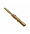 Borne cylindrique Trim Trio mâle RM/RC series d'or 16-20 AWG