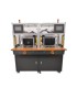 Prensa de sobremoldeo a baja presión de doble estación vertical u horizontal (3L x2 o 7L x2)